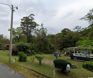 PRICE REDUCED! THE BEST DEAL FOR LAND IN NORTH MYRTLE BEACH - photo 3