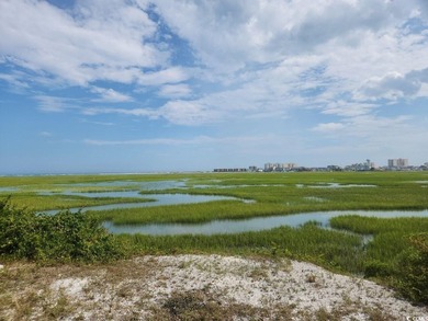 PRICE REDUCED! THE BEST DEAL FOR LAND IN NORTH MYRTLE BEACH - photo 5