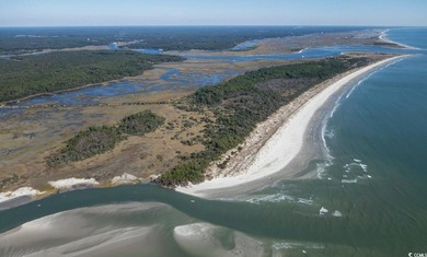 PRICE REDUCED! THE BEST DEAL FOR LAND IN NORTH MYRTLE BEACH - photo 6