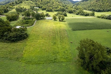 23 Acres on Roaring River Property borders TVA on Roaring River - photo 11