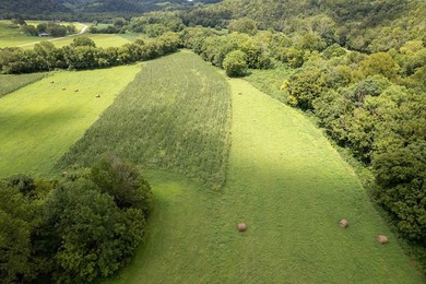 23 Acres on Roaring River Property borders TVA on Roaring River - photo 12