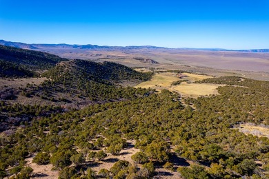 Introducing the Reverse C Ranch, a landmark 6,576-acre combined - photo 13