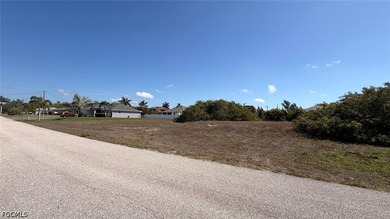 Located west of Burnt Store Rd and across the street from - photo 3