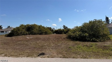 Located west of Burnt Store Rd and across the street from - photo 5