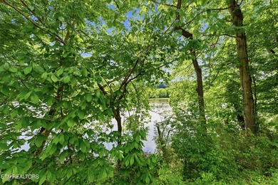 Discover the beauty of East Tennessee living with this stunning - photo 46