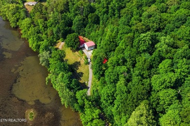 Discover the beauty of East Tennessee living with this stunning - photo 48