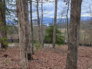 (private lake, pond, creek) Lot For Sale in Hayesville North Carolina