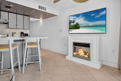 Incredible opportunity to own a fully furnished, turnkey - photo 10