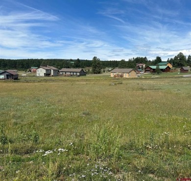 Hatcher Reservoir Lot For Sale in Pagosa Springs Colorado