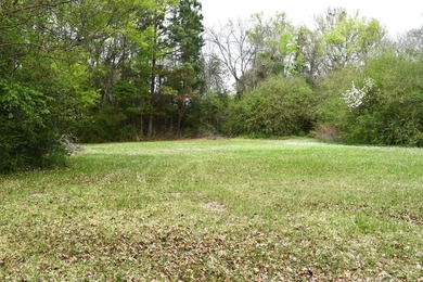 Great investor or first time owner home. Huge front yard to play - photo 11