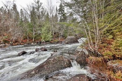 Exceptional property on the banks of the Riviere aux Mulets in - photo 5