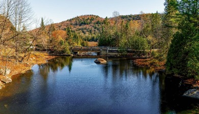 Exceptional property on the banks of the Riviere aux Mulets in - photo 6
