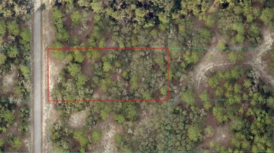 Bonable Lake Lot For Sale in Dunnellon Florida
