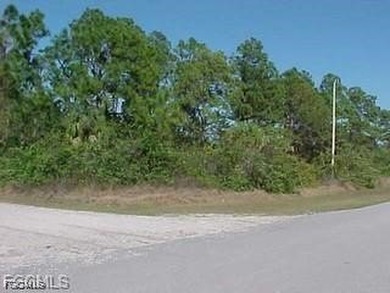 Lehigh Acres Area Lot For Sale in Lehigh Acres Florida