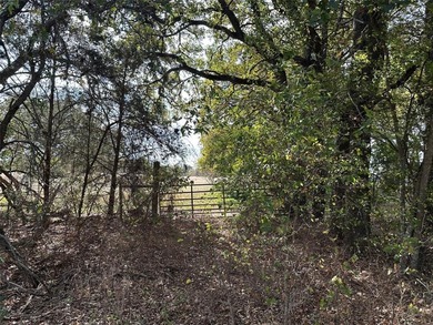 Gorgeous Large Oak Trees on this 90 Acre Ranch with Utilities - photo 2