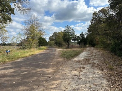 Gorgeous Large Oak Trees on this 90 Acre Ranch with Utilities - photo 3