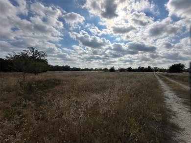 Gorgeous Large Oak Trees on this 90 Acre Ranch with Utilities - photo 4
