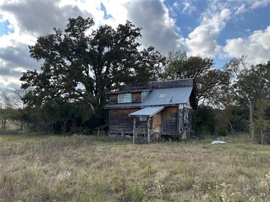 Gorgeous Large Oak Trees on this 90 Acre Ranch with Utilities - photo 8
