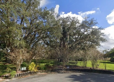 Lake Marion - Polk County Lot For Sale in Haines City Florida
