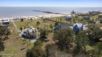Gorgeous 3 bedroom, 3 bath beach front home beautifully built to - photo 42