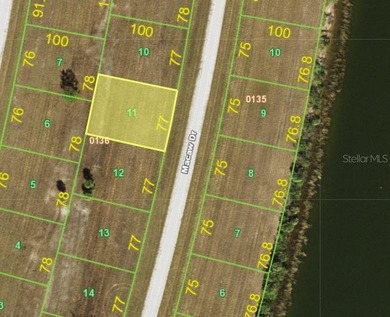 Rotunda Meadows Lakes  Lot For Sale in Placida Florida