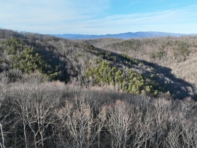 Lake Acreage For Sale in Ellijay, Georgia