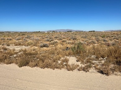 (private lake, pond, creek) Acreage For Sale in Yerington Nevada