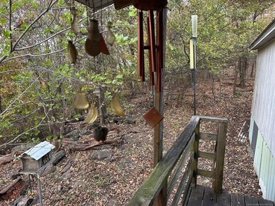 View of Arkansas River from Back Porch, 12x14 workshop, very - photo 3