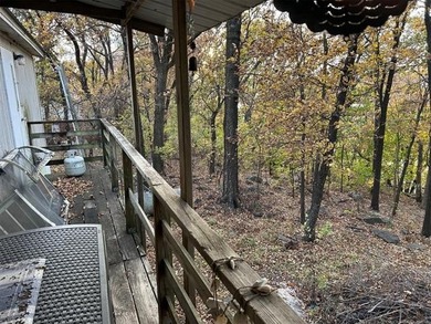 View of Arkansas River from Back Porch, 12x14 workshop, very - photo 4