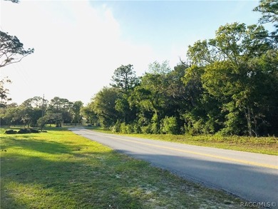 21.35 acre assemblage of three parcels at Cypress Village Center - photo 11