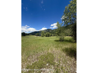 This oversized 1+ acre lot sits right in the heart of it all! - photo 11