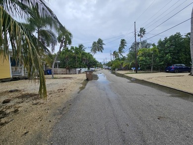 Presenting 77 S Conch Key, a 4,500-square-foot parcel in the - photo 5