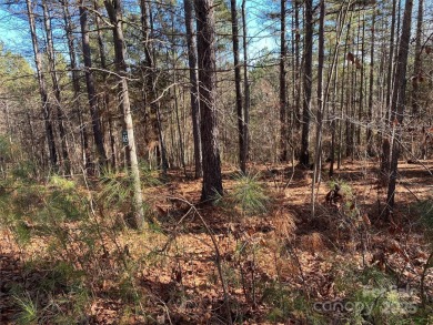 Lake Lot For Sale in Connelly Springs, North Carolina