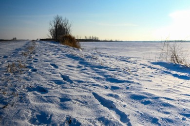 Lake Acreage For Sale in Wallace, South Dakota