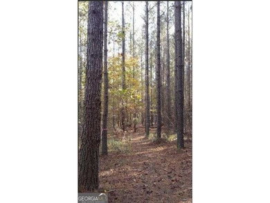 (private lake, pond, creek) Acreage For Sale in Juliette Georgia