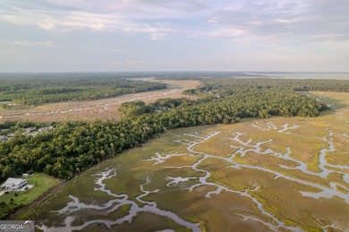 (private lake, pond, coastal) Acreage Sale Pending in Woodbine Georgia