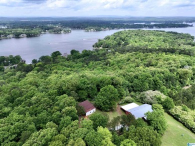 Lake Home For Sale in Talladega, Alabama