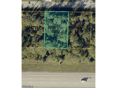 Located directly at Sultan Ave in the rapidly expanding city of - photo 1