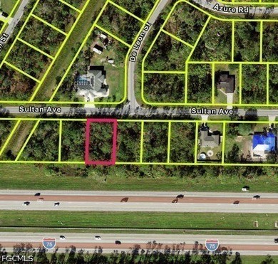 Located directly at Sultan Ave in the rapidly expanding city of - photo 2