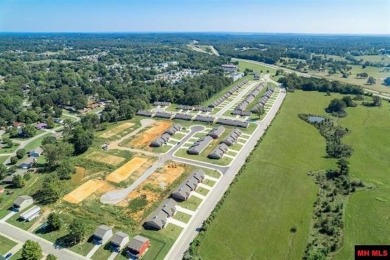 55+ Patio Homes currently under construction. These energy