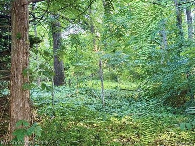 (private lake, pond, creek) Lot For Sale in Commerce Twp Michigan