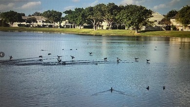 CALLING ALL INVESTORS!! Welcome to this outstanding Lakeview - photo 48