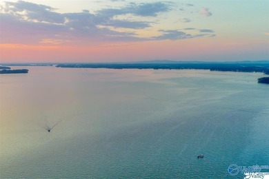 A true get-a-away on Weiss Lake with no maintenance, just pure - photo 7