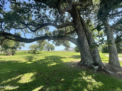 Large Beautiful lot perfect for your dream home, vacation home - photo 1