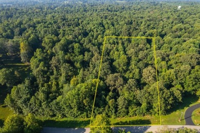 Lake Lot For Sale in Hanson, Kentucky