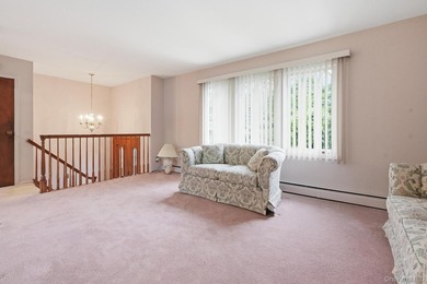 Welcome to 6 N. Park Drive, a well-maintained immaculate High - photo 3