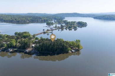 Lake Lot For Sale in Vincent, Alabama