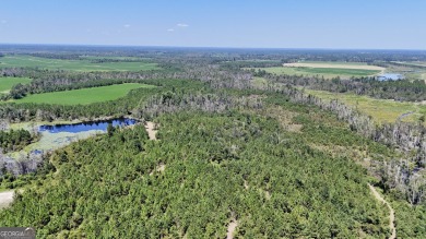 Lake Acreage For Sale in Hazlehurst, Georgia