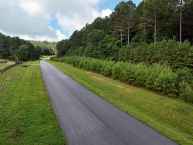 Lake Acreage For Sale in Blairsville, Georgia