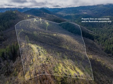 (private lake, pond, coastal) Acreage For Sale in Ashland Oregon